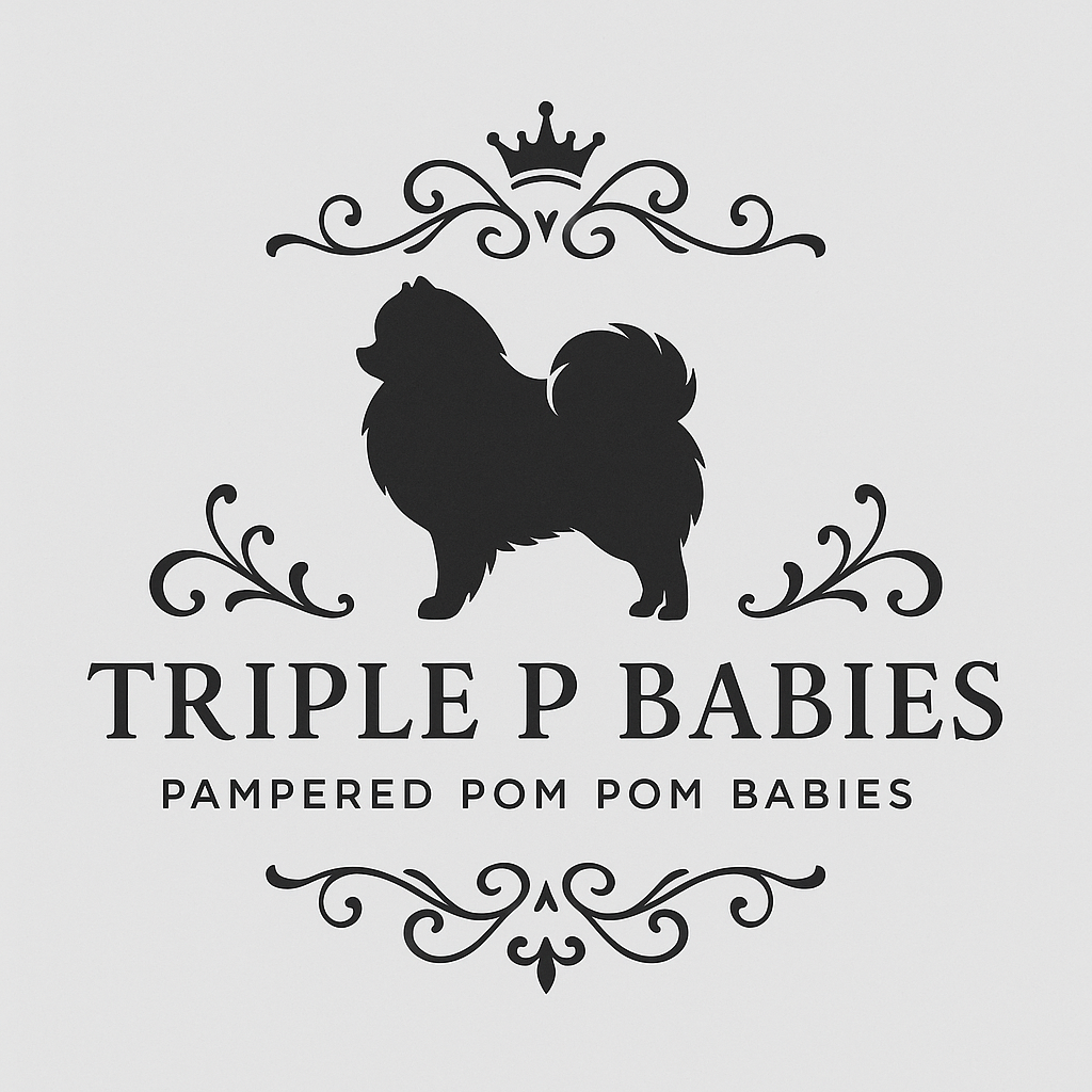 Triple P Babies/Pampered Pom Pom Babies