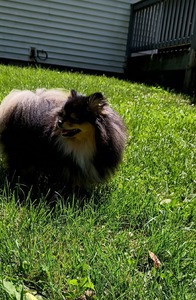Ryah dancing in a summers breeze (Ryah)