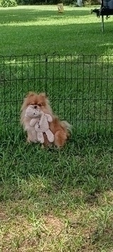 IMG_20240708_151710914