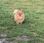 Kya's Dancing in the misty rain (Kya)